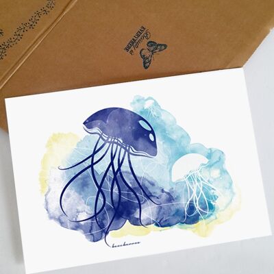 Ilustración "Medusas"