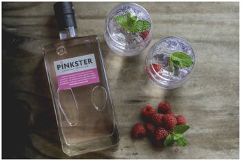 Pinkster Gin 70cl - Carton de 6 8