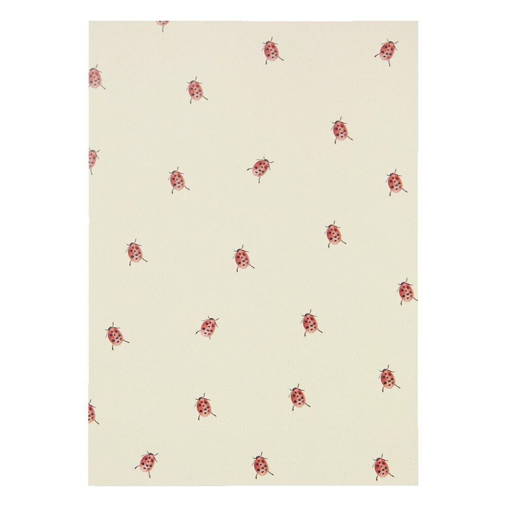 Grußkarte - Marienkäfer