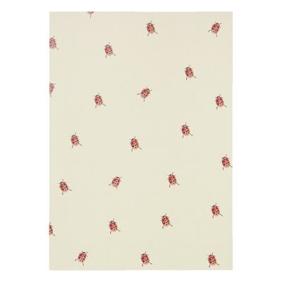 Greeting card - ladybug