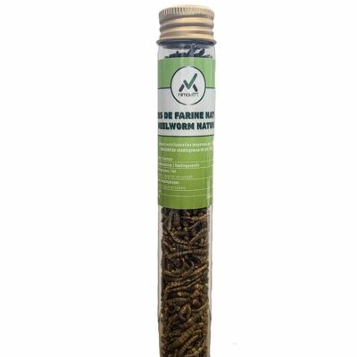 Dried mealworms nature (12g)