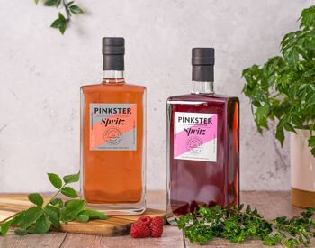 Caisse mixte Pinkster Spritz (6 bouteilles) 1