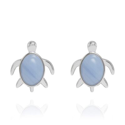Turtle Stud Earrings Blue Lace Agate