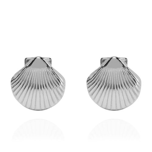 Clam Shell Stud Earrings Silver