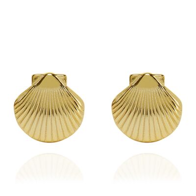 Clam Shell Stud Earrings Gold