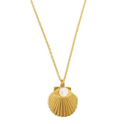 Open Shell Necklace Gold