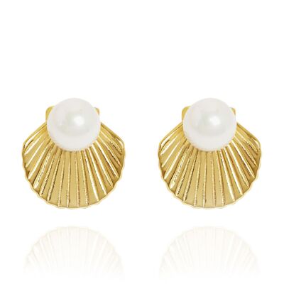 Open Shell Stud Earrings Gold