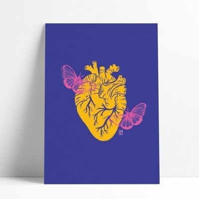 Cartel “Nacimiento” | ilustración corazón anatómico y mariposas