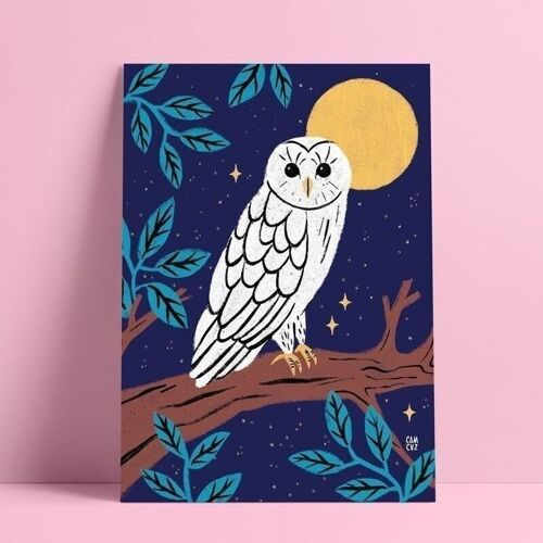 Hibou dans la nuit | affiche jeunesse, oiseau nocturne