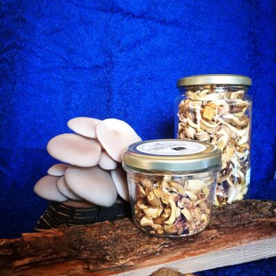 Dried mushrooms - BIO oyster mushrooms - Dried mushrooms - oyster mushrooms - 25g