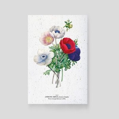 Seeded cards - Anemones