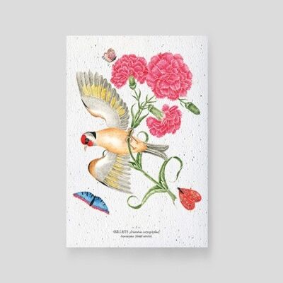 Planting cards - Carnation and bird