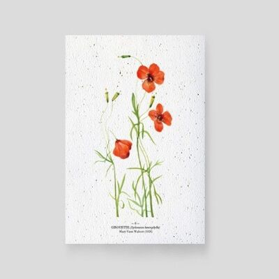 Plantable card - Weather vane