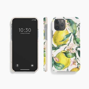 Coque Mobile Citronnier - Samsung S22 DT 10