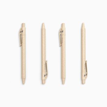 Stylo Gazon Naturel - Blé Beige 1