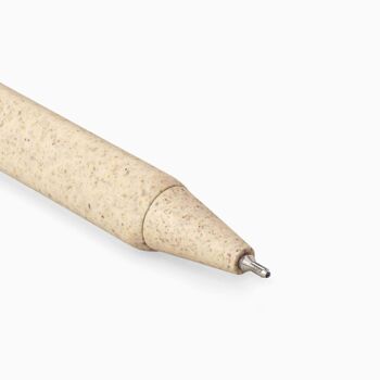 Stylo Gazon Naturel - Blé Beige 2