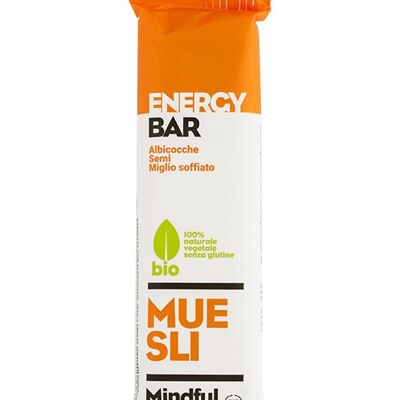 Organic energy bar, with Apricots, Seeds and Puffed Millet - gluten free