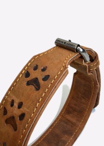 Collier Vintage pour Chien 1609-25-65cm 3