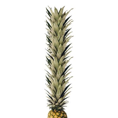 Endless Pineapple Art Print - 40x50 cm