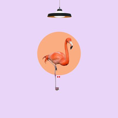 Pink Flamingo Art Print - 40x40 cm