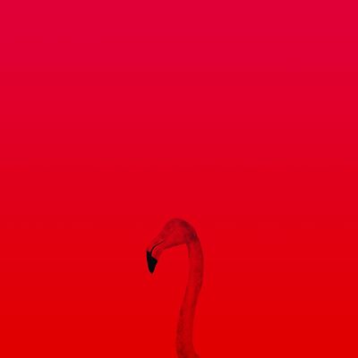 Red Flamingo Art Print - 30x30cm