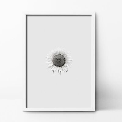 Sun Flower Art Print - 21x30 cm