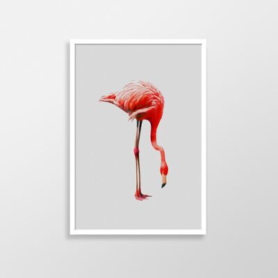 Flamingo Art Print - 30x30 cm