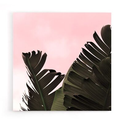 Banana Leaf Canvas - 40x40 cm