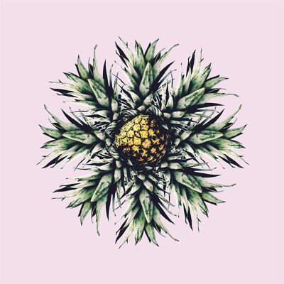Pineapple Star Print - 50x70 cm