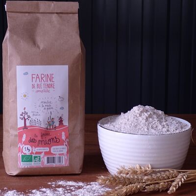 Wholemeal flour (type 110) 25 kg