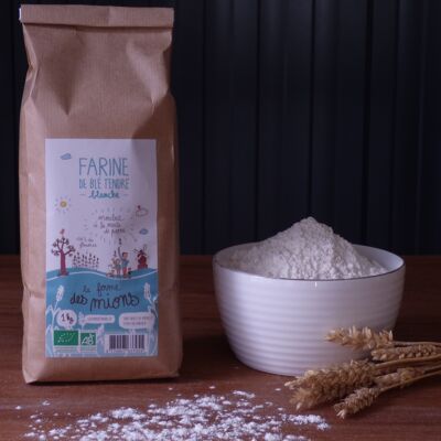 White flour (type 65) 5 kg