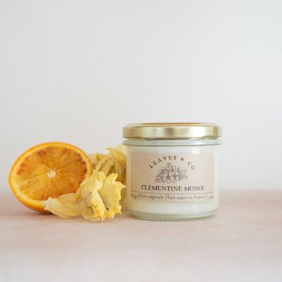 Seasonal Jar Scented Candle - Clementine monoi
