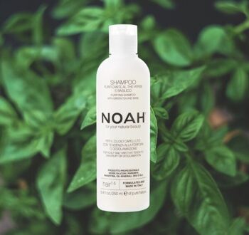 NOAH – Shampooing Purifiant 1.5 au Thé Vert et Basilic 250ML 2