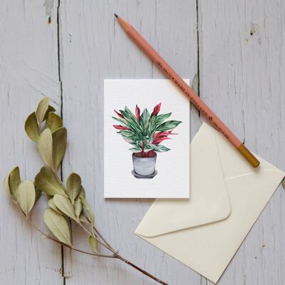 Cartolina d'auguri sostenibile dell'acquerello della pianta della mini casa