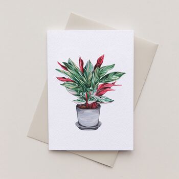 Carte de voeux durable aquarelle mini plante d'intérieur 2