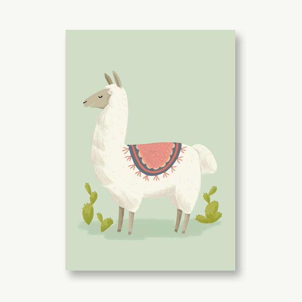 Postcard Llama South America
