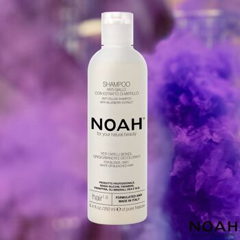 NOAH – 1.9 Shampooing Anti-Jaune à l'Extrait de Myrtille 250ML 2