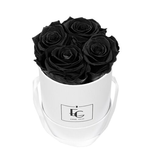 Classic Infinity Rosebox | Black Beauty | XS