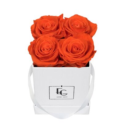 Classic Infinity Rose Box | Orange Flame | XS