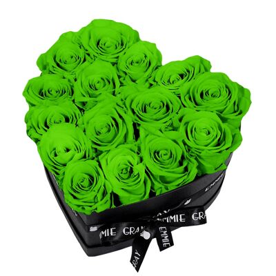Caja Rosa Infinito Clásica | resplandor verde | METRO