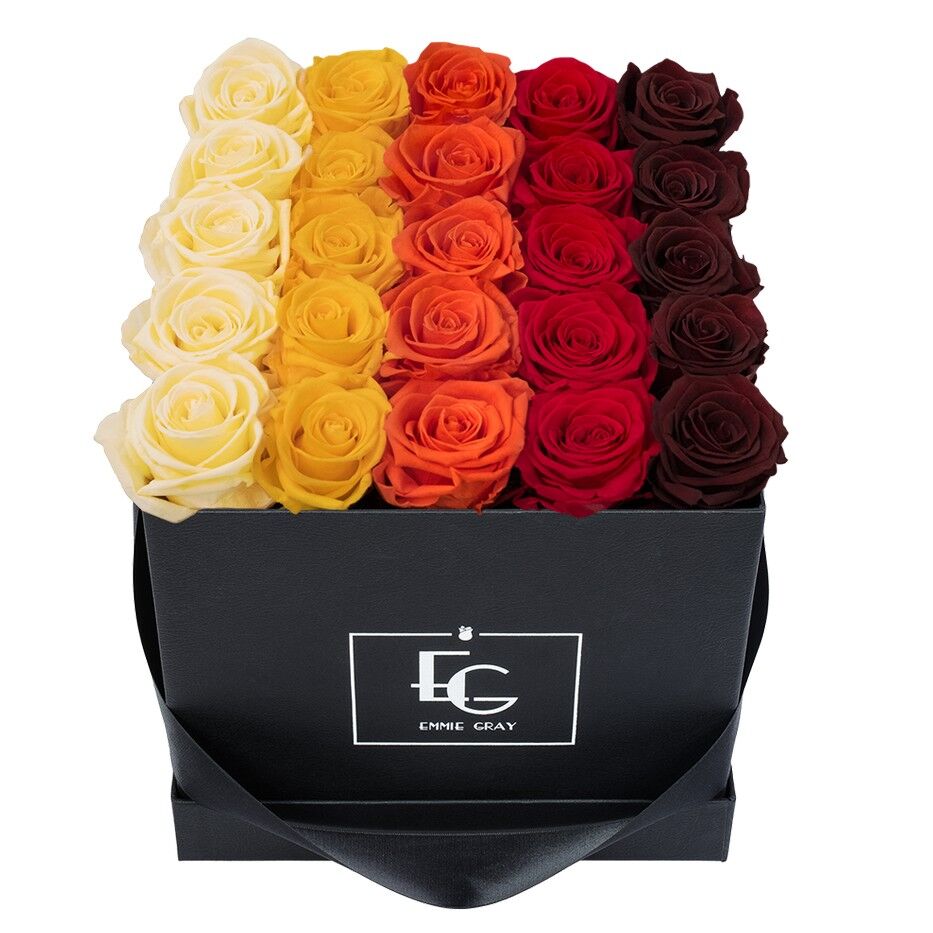 Shades Infinity Rosebox | Champagne, Perfect Peach, Orange Flame, Vibrant Red & Burgundy | M