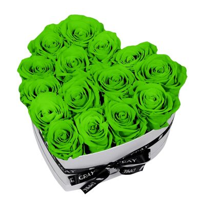 Caja Rosa Infinito Clásica | resplandor verde | METRO