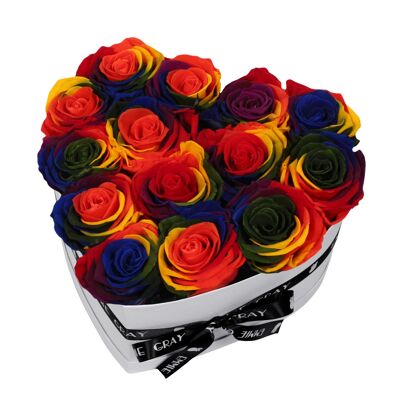 Classic Infinity Rosebox | Rainbow | M