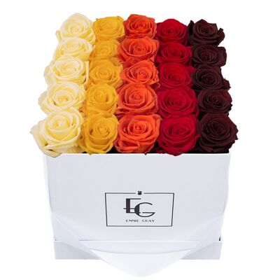 Shades Infinity Rosebox | Champagne, Perfect Peach, Orange Flame, Vibrant Red & Burgundy | M