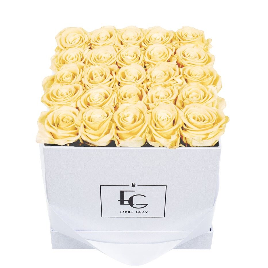 Scatola rosa infinito classica | Champagne | M