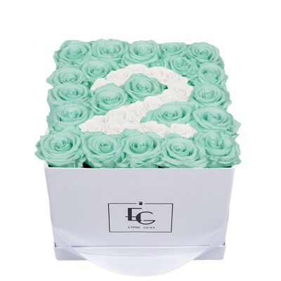 Rosebox numero infinito | Verde menta e bianco puro | M