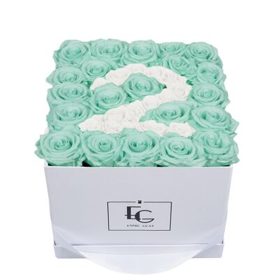 Nombre Infinity Rosebox | Vert menthe et blanc pur | M