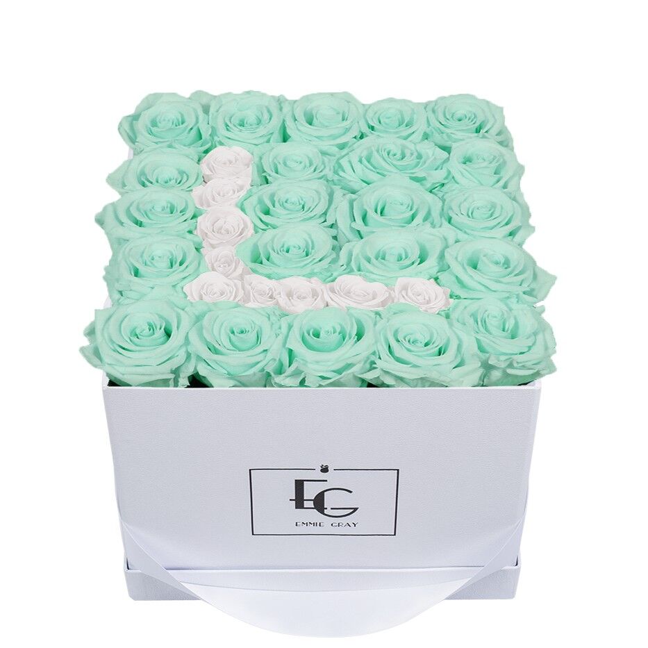 Lettera Infinity Rosebox | Verde menta e bianco puro | M