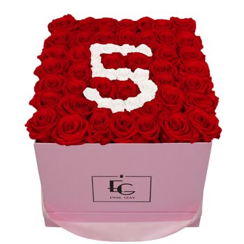 Nombre Infinity Rosebox | Rouge vif et blanc pur | L