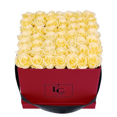 Classic Infinity Rose Box | Champagne | L